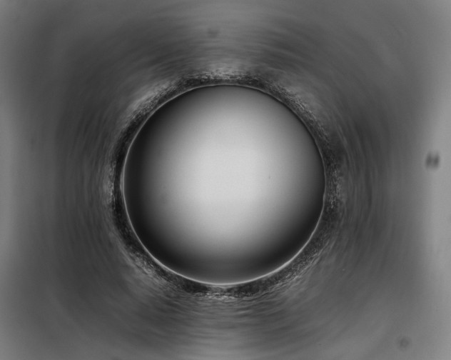 X0000098100640200804041245
