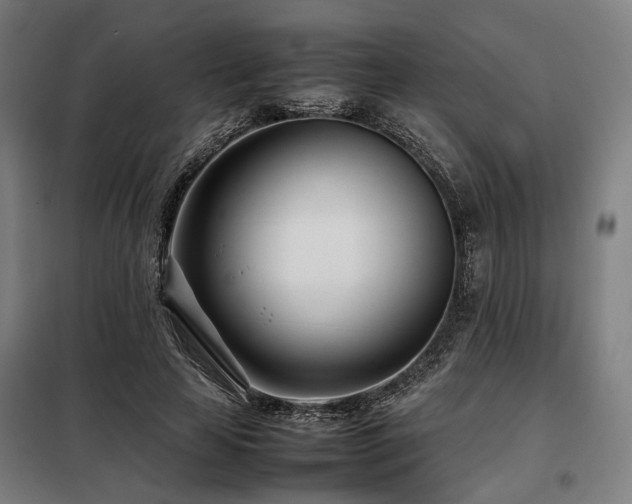 X0000098100641200804041245
