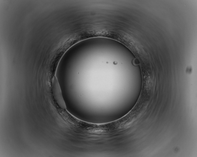 X0000098100643200804041245