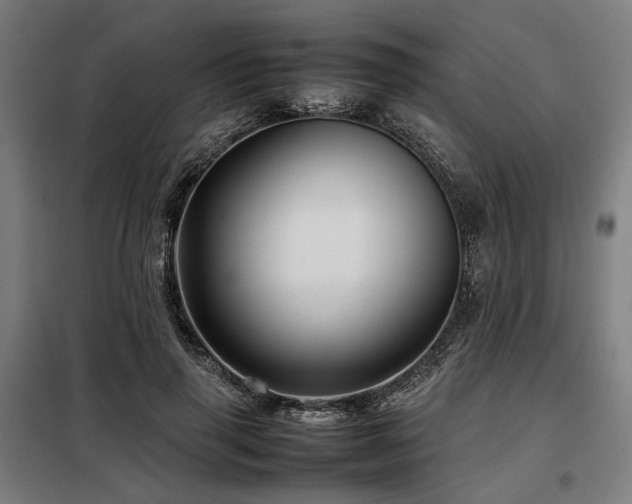 X0000098100645200804041245