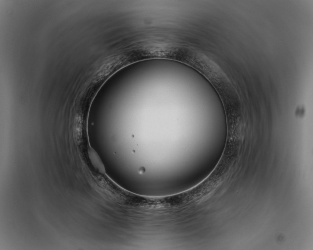X0000098100646200804041245