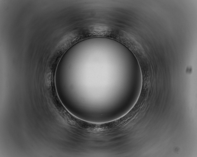 X0000098100647200804041245