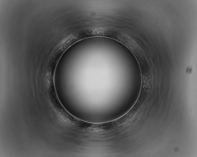 X0000098100648200804041245