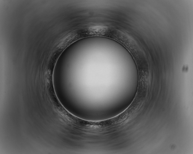 X0000098100649200804041245