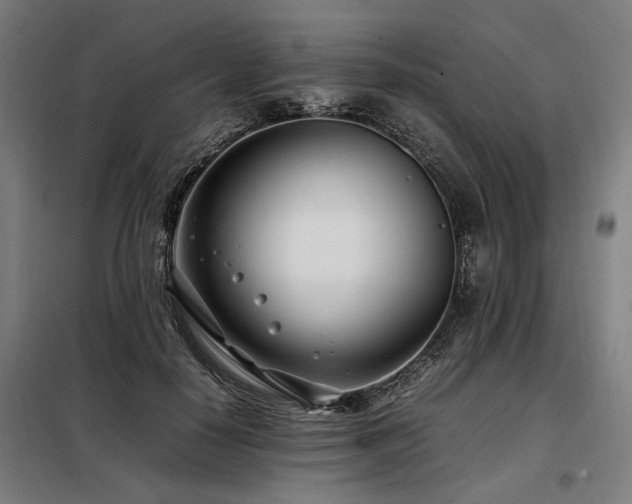 X0000098100650200804041245