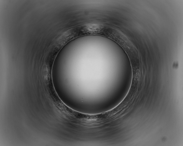 X0000098100651200804041245