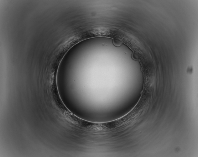 X0000098100652200804041245