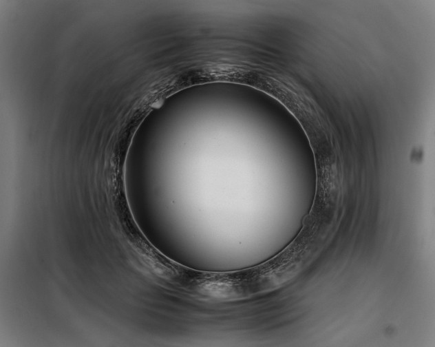 X0000098100653200804041245