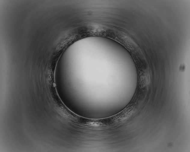 X0000098100654200804041245