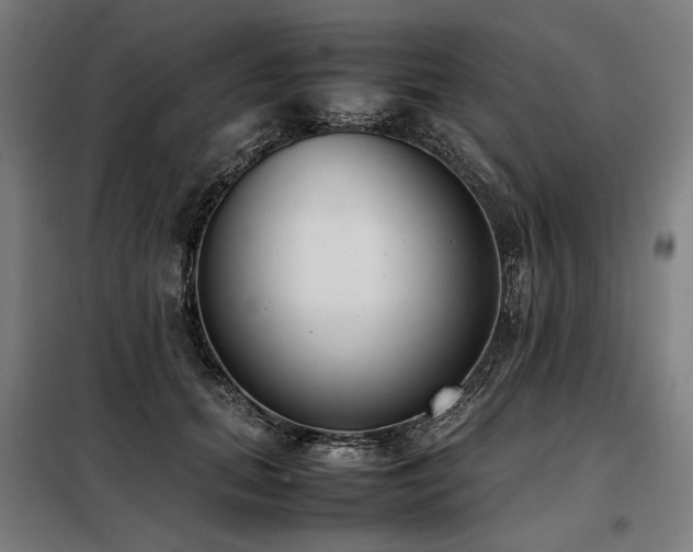 X0000098100655200804041245