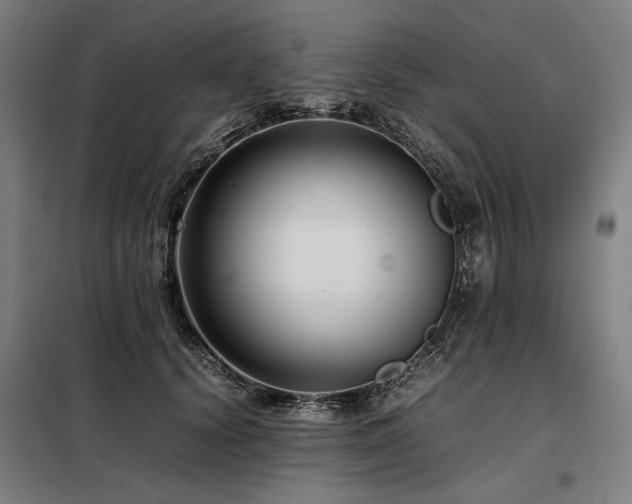 X0000098100656200804041245