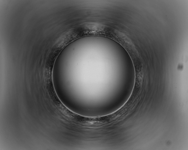 X0000098100657200804041245