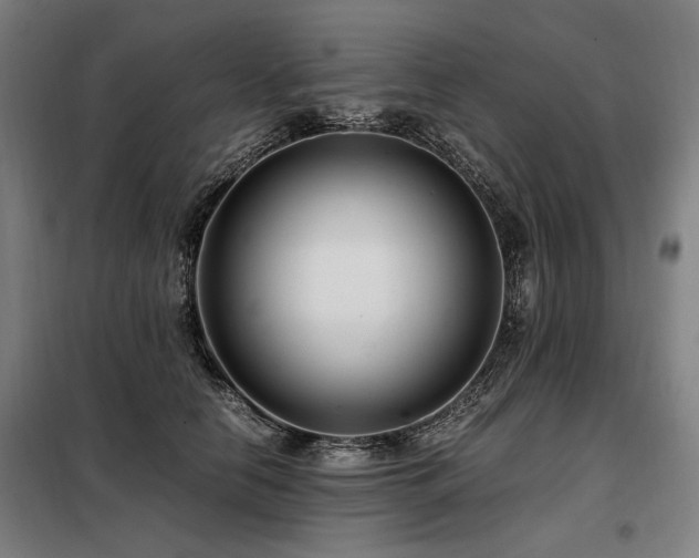 X0000098100658200804041245