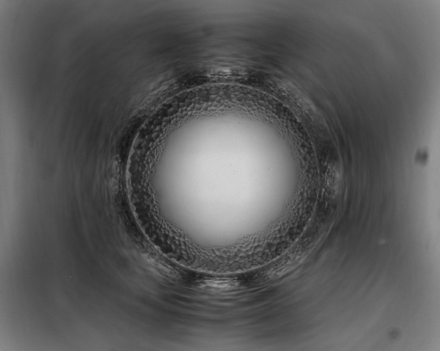X0000098100659200804041245