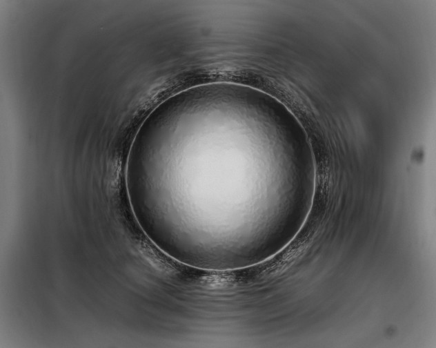 X0000098100660200804041245