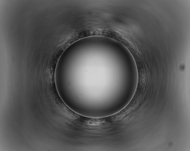 X0000098100661200804041245