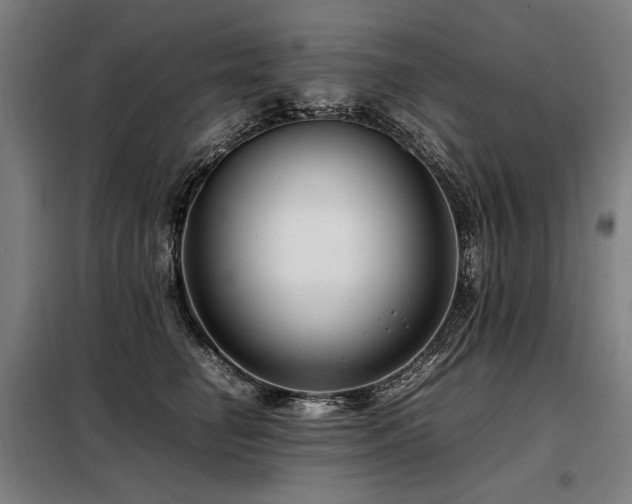 X0000098100662200804041245