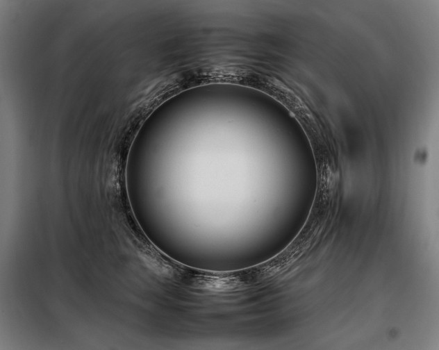 X0000098100663200804041245