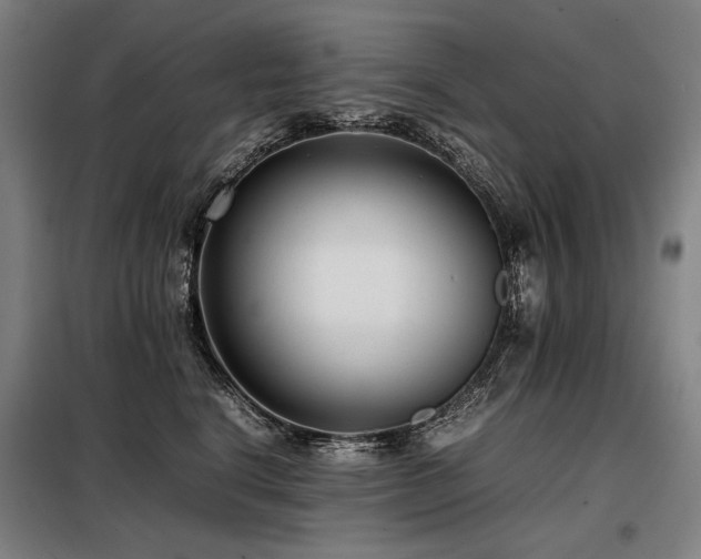 X0000098100664200804041245
