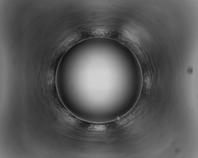 X0000098100665200804041245