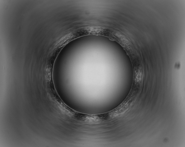 X0000098100666200804041245