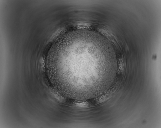 X0000098100667200804041245