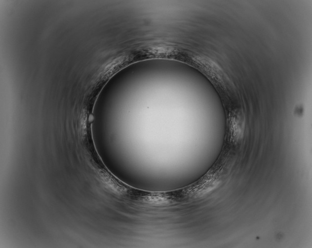 X0000098100668200804041245