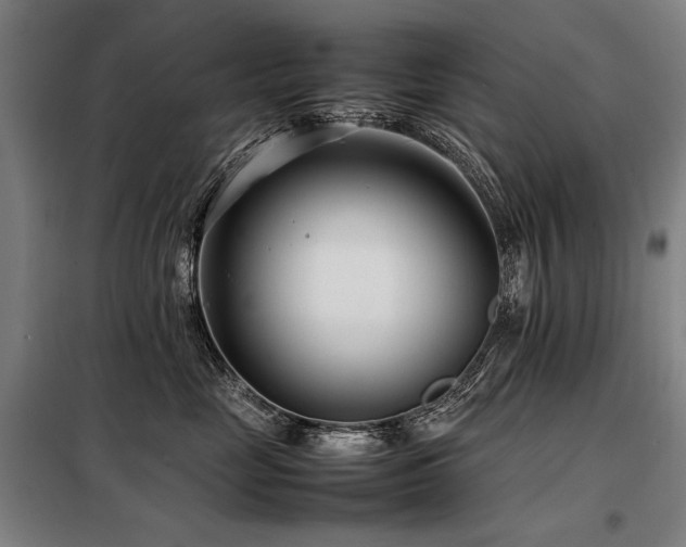 X0000098100669200804041245