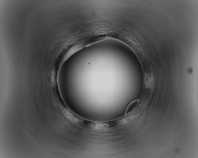 X0000098100670200804041245