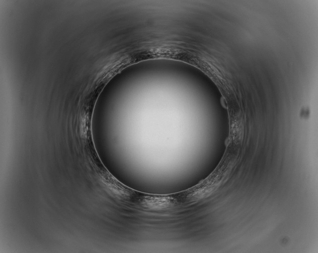 X0000098100671200804041245