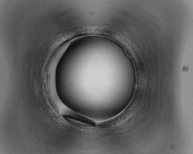 X0000098100673200804041244