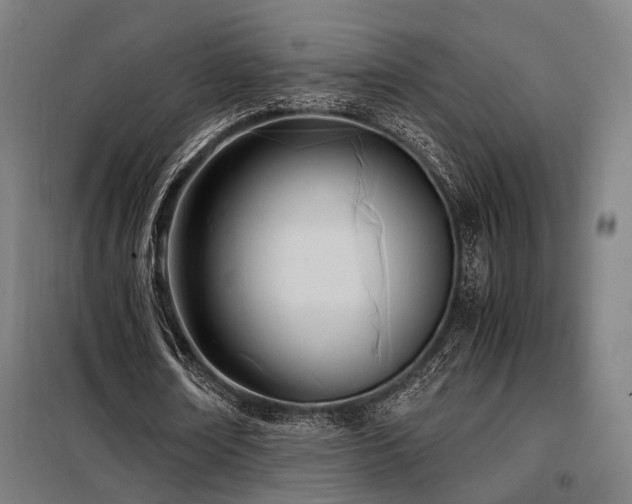 X0000098100674200804041244
