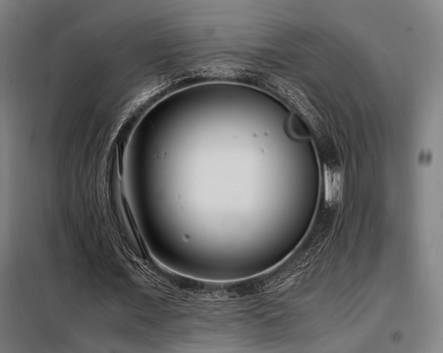 X0000098100675200804041244