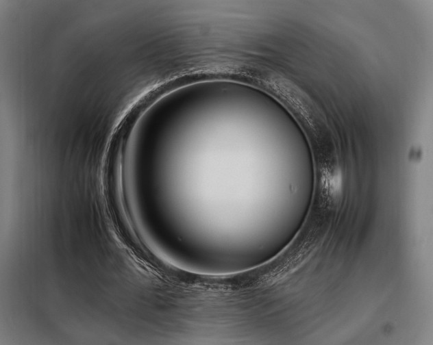 X0000098100676200804041244