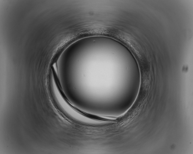 X0000098100677200804041244