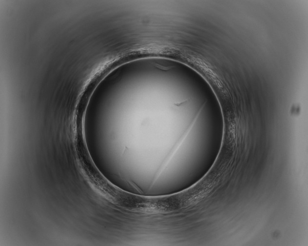 X0000098100678200804041244