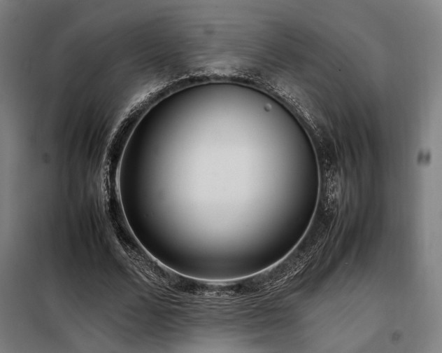 X0000098100680200804041244
