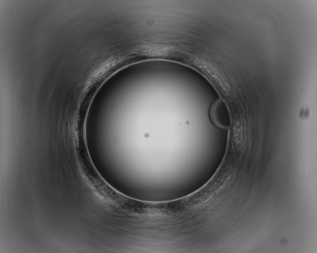 X0000098100682200804041244