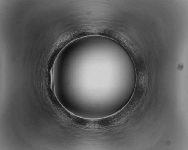 X0000098100685200804041244