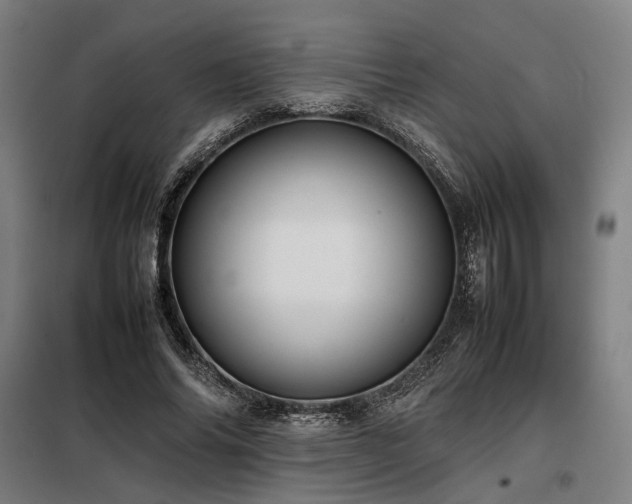 X0000098100686200804041244