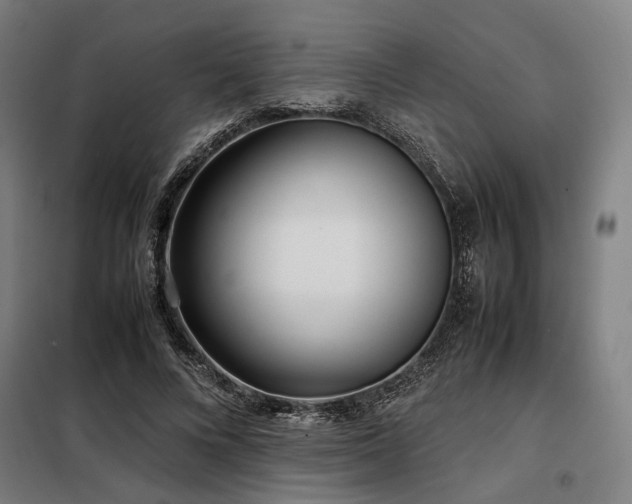 X0000098100688200804041244