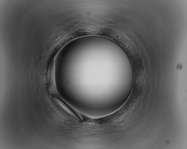 X0000098100689200804041244