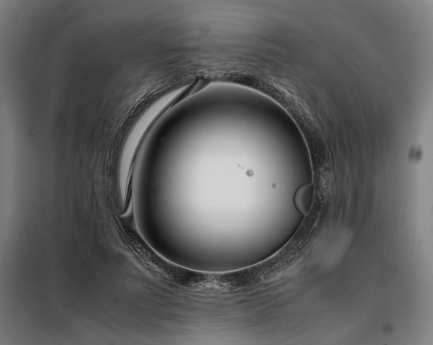 X0000098100691200804041244