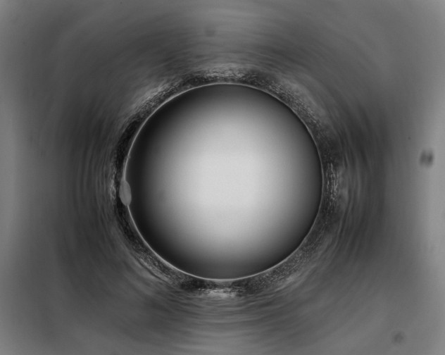 X0000098100692200804041244