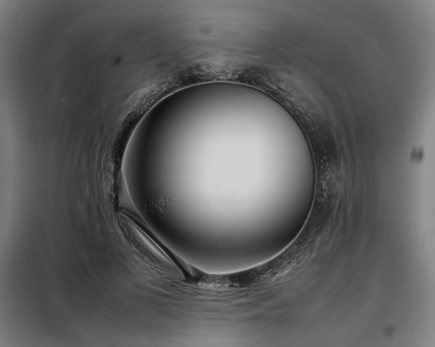 X0000098100693200804041244