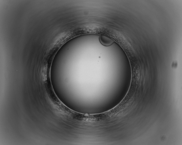 X0000098100694200804041244
