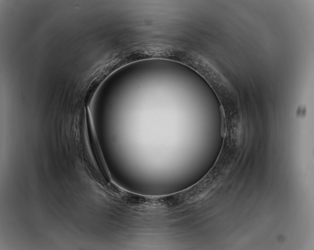 X0000098100696200804041244