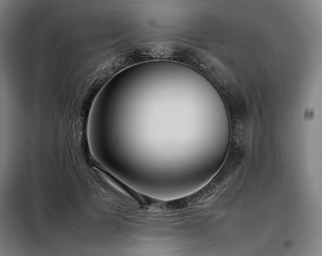 X0000098100697200804041244