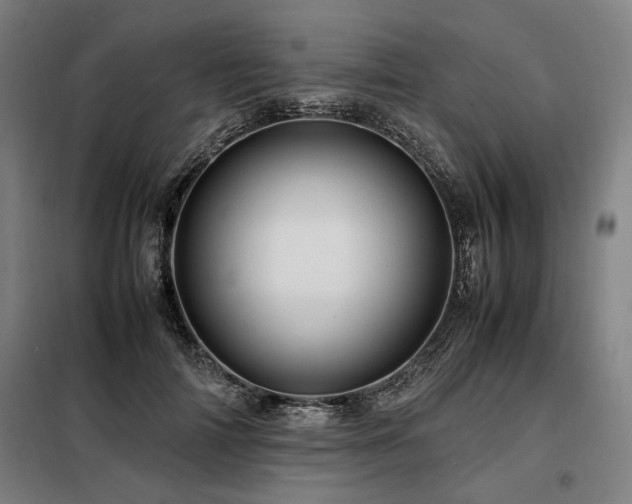 X0000098100698200804041244