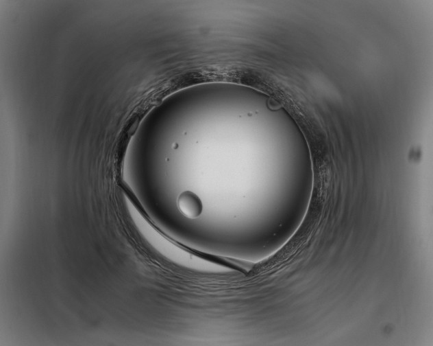 X0000098100699200804041244